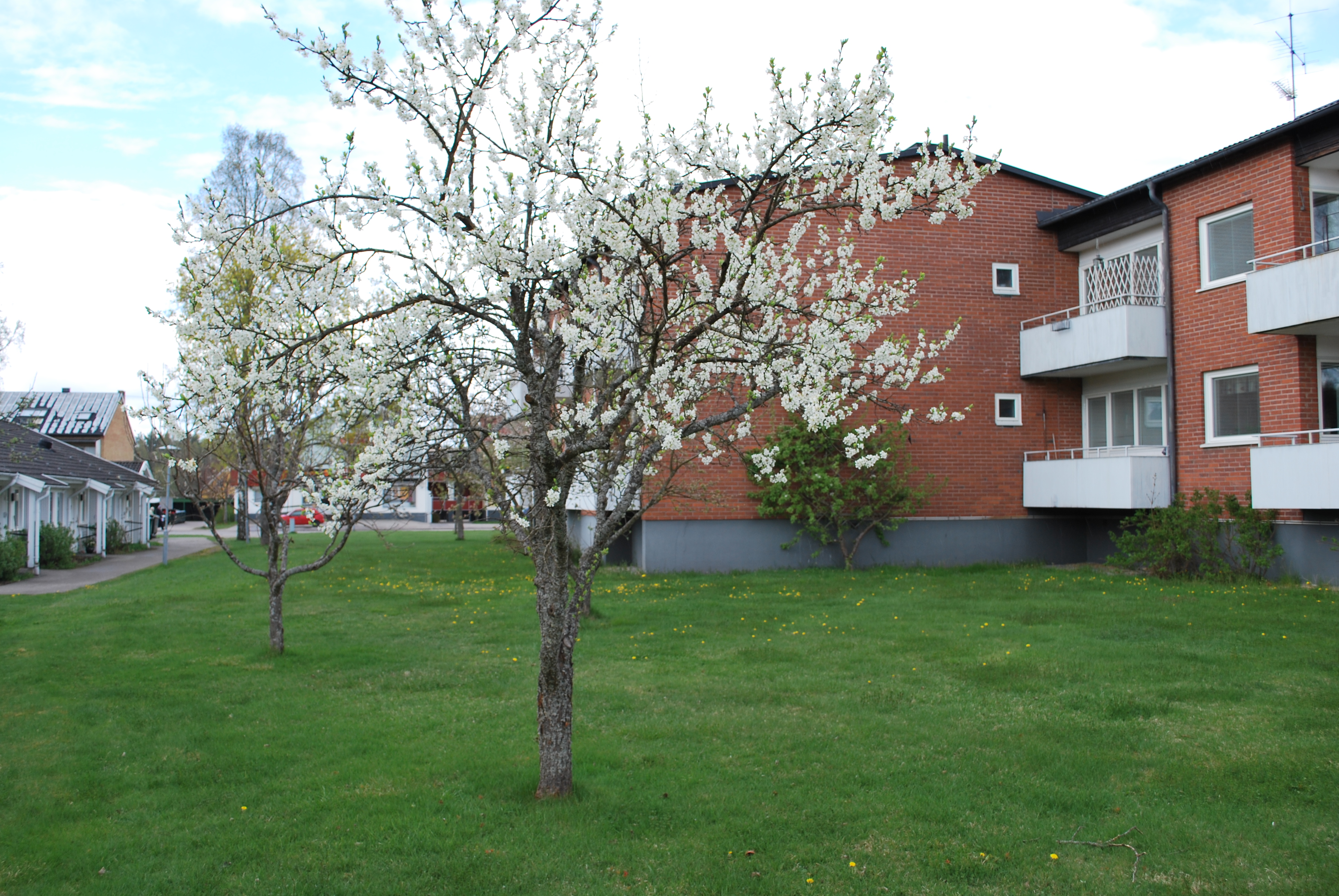 Storgatan 28 A, 364 43, Alstermo 2