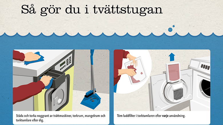 Bilder på hur man städar i tvättstugan